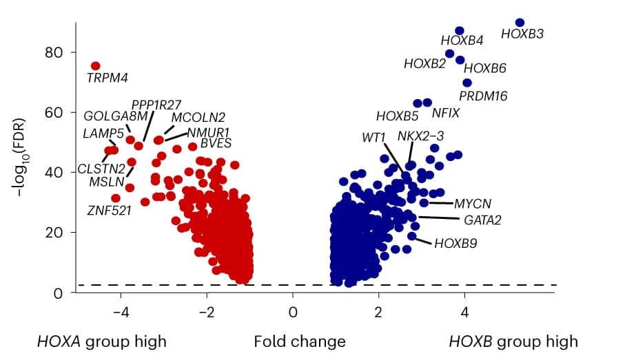 Open access visualization of Scatter Plot, Volcano Plot, Differentially Expressed Genes, HOXA, HOXB
