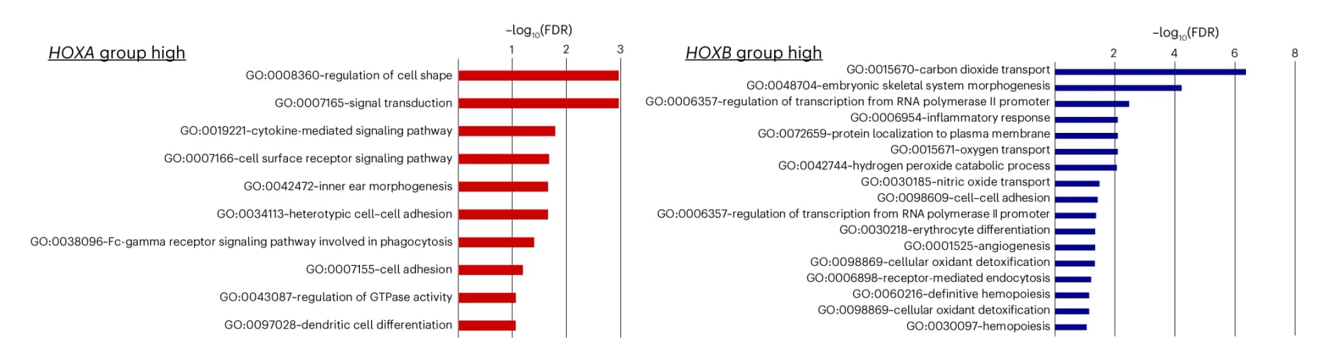 Open access visualization of Bar Plot, Gene Ontology, Gene Expression, HOXA, HOXB