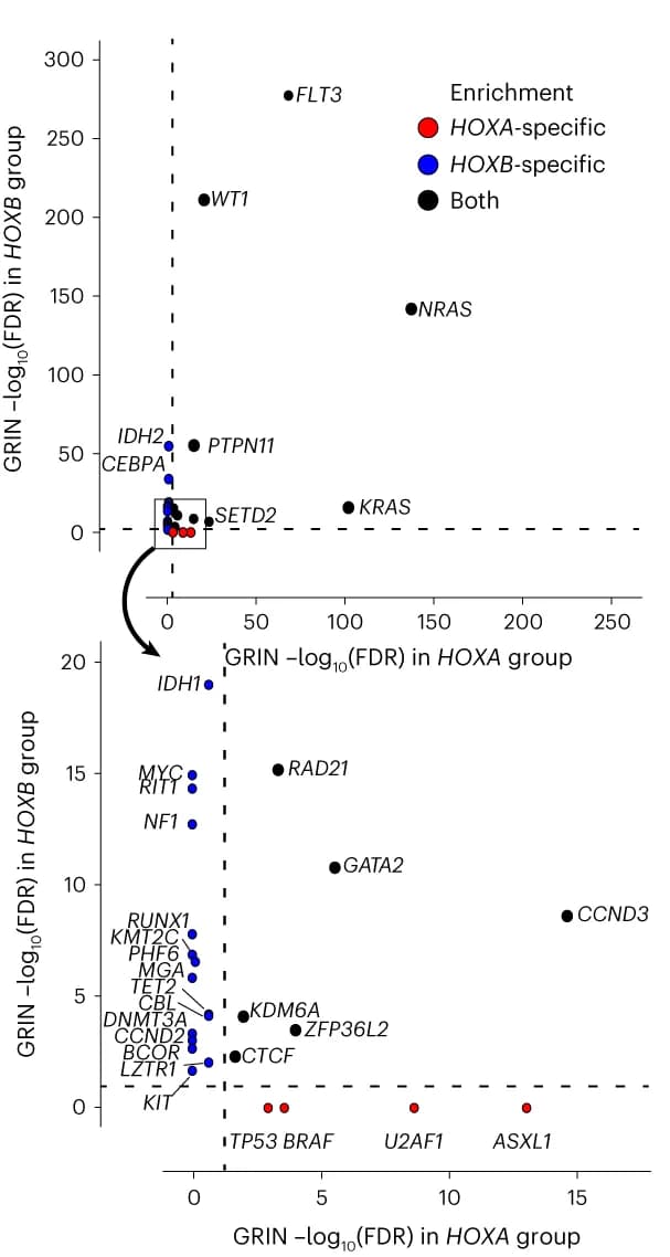 Open access visualization of Scatter Plot, GRIN Analysis, HOXA, HOXB, Gene Expression
