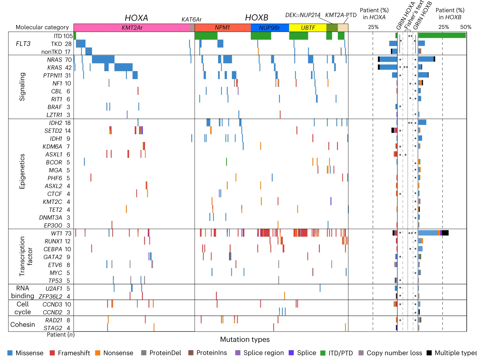 Open access visualization of Bar Plot, Heatmap, Mutational Heatmap, HOXA, HOXB