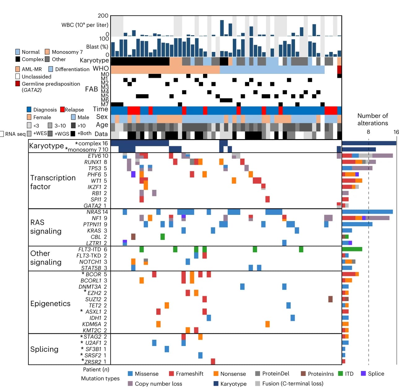 Open access visualization of Bar Plot, Heatmap, Clustered, Mutational Heatmap, Unclassified Cases