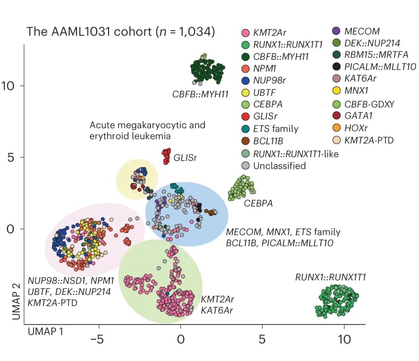 Open access visualization of Scatter Plot, UMAP, Transcriptome Data, AAML1031 Cohort, Molecular Categories