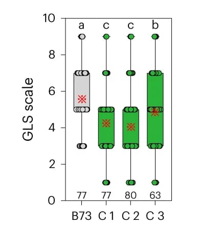 Open access visualization of Violin Plot, Box Plot, Scatter Plot, GLS Scales, B73