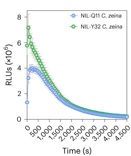 Open access visualization of Line Plot, Error Bars, C. Zeina, ROS Burst, NILs