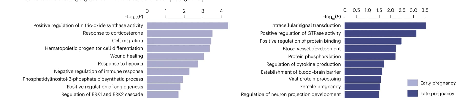 Open access visualization of Bar Plot, GO Enrichment, DEGs, STB Nuclei, Early Pregnancy