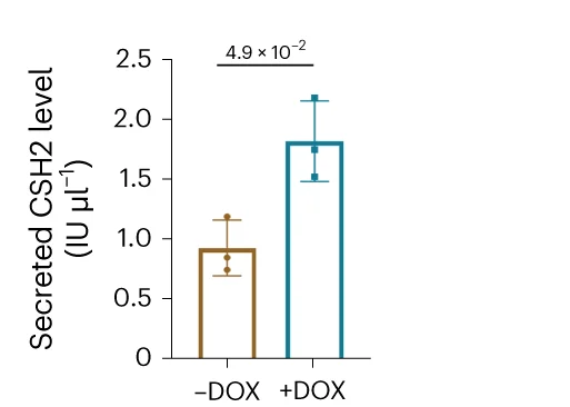 Open access visualization of Bar Plot, Error Bars, ELISA Analysis, CSH2 Expression, Trophoblast Organoids