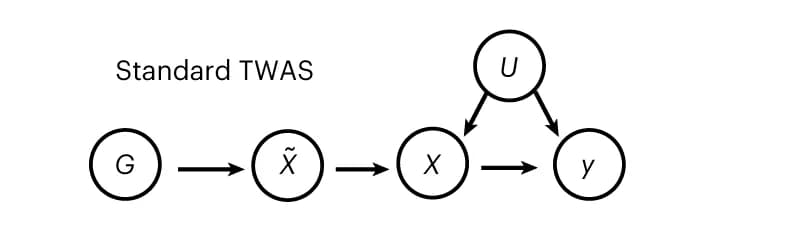 Open access visualization of Workflow, Flowchart, TWAS, Causal Diagram, Cis-Genetic Component