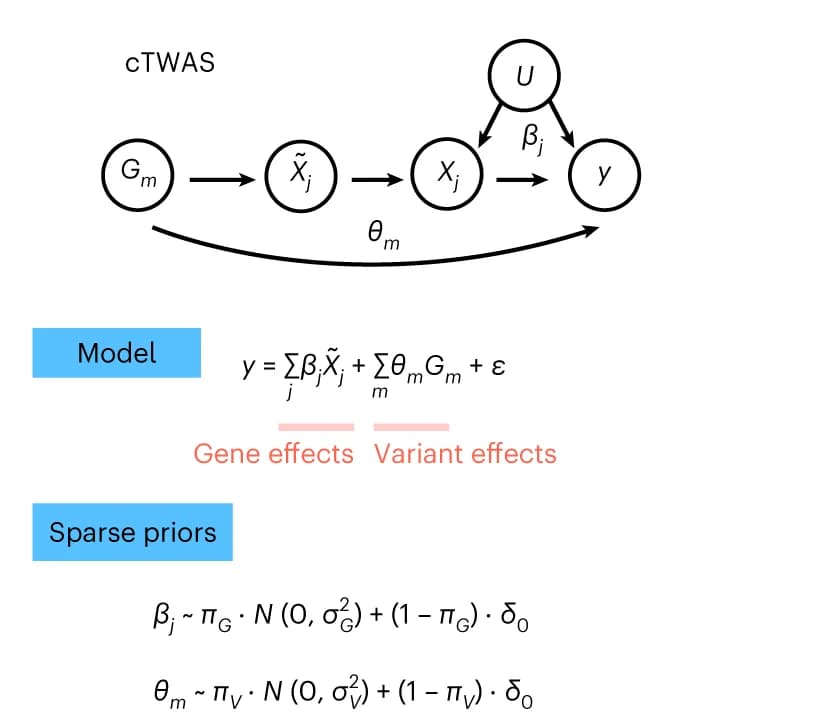 Open access visualization of Workflow, Flowchart, cTWAS, Model, Genotype