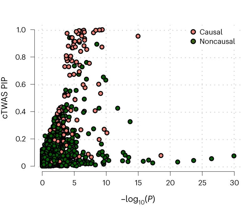 Open access visualization of Scatter Plot, TWAS, Gene PIPs, cTWAS, Simulation