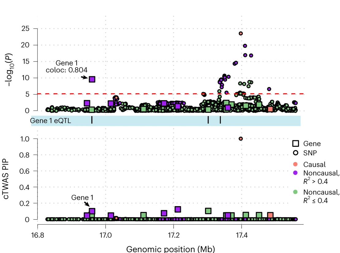 Open access visualization of Scatter Plot, cTWAS, False-Positive Genes, TWAS, SNPs