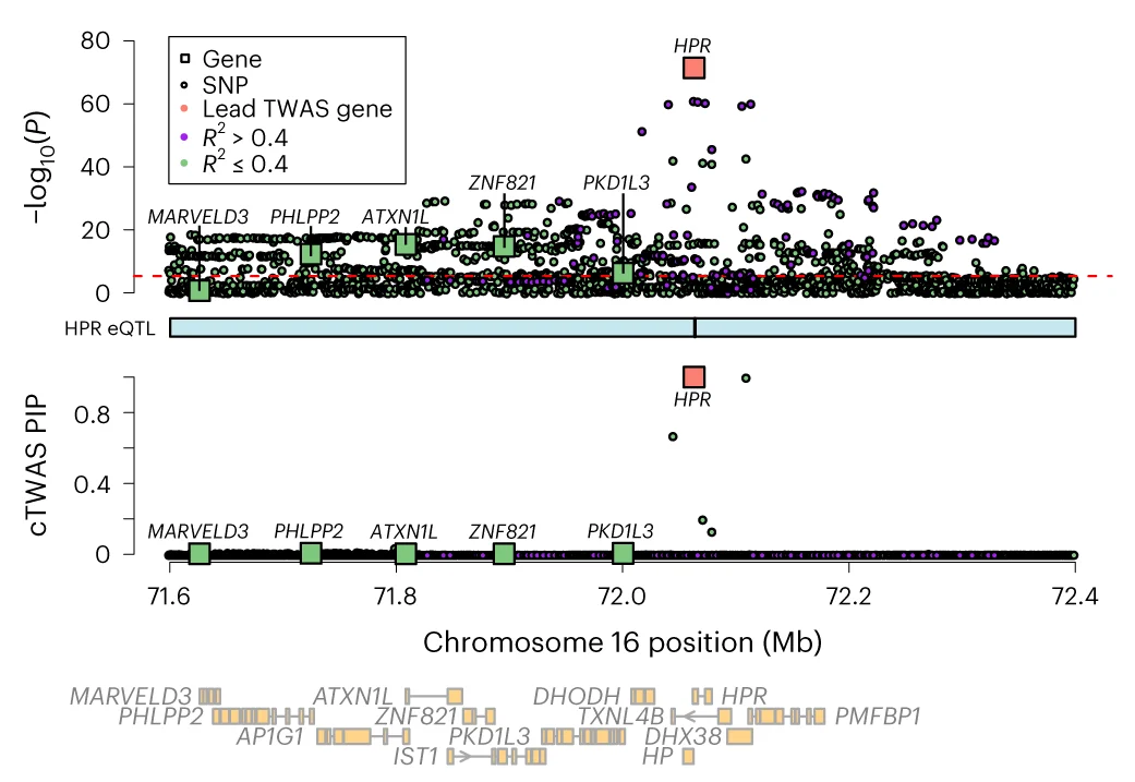 Open access visualization of Scatter Plot, Line Plot, cTWAS, HPR Locus, GWAS
