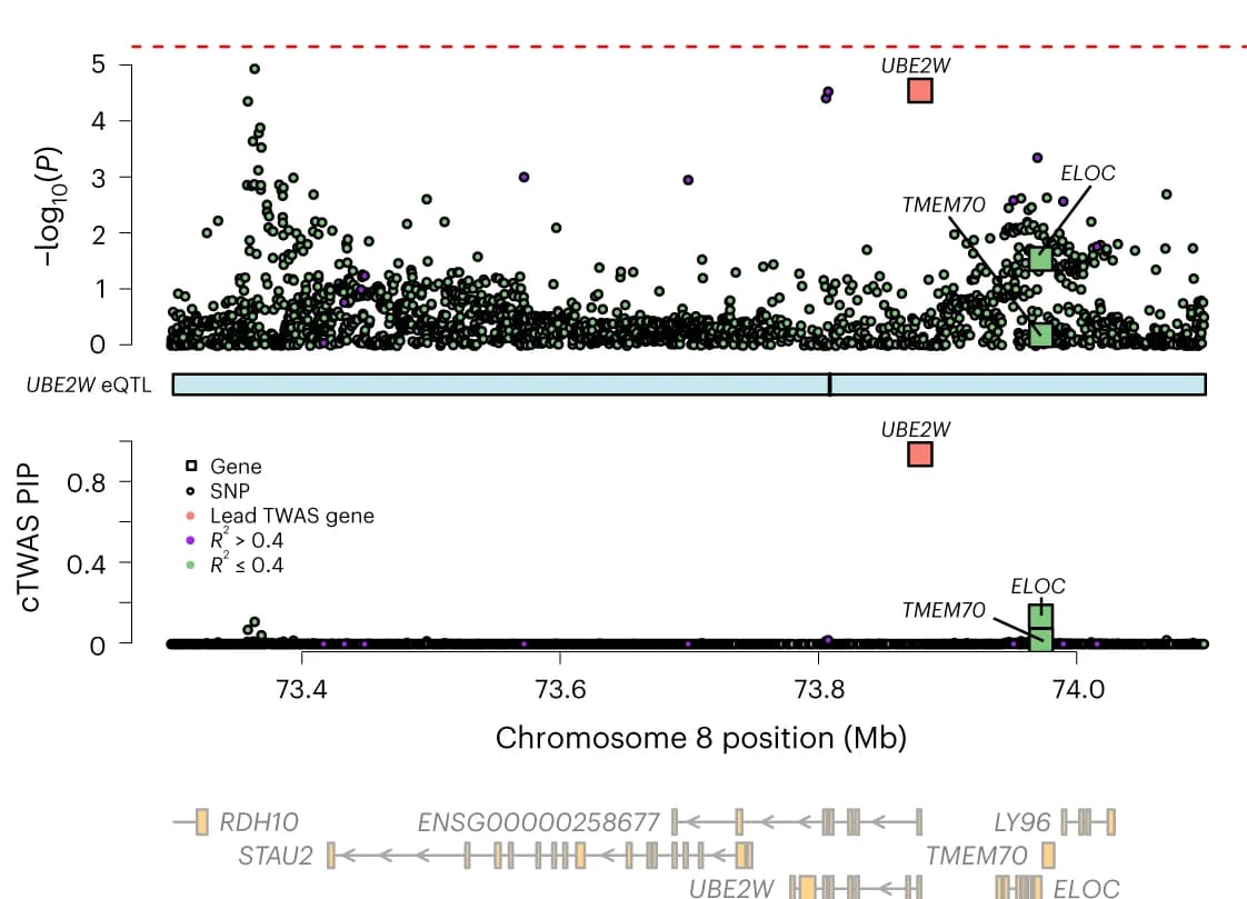 Open access visualization of Scatter Plot, Line Plot, cTWAS, IBD, UBE2W Locus
