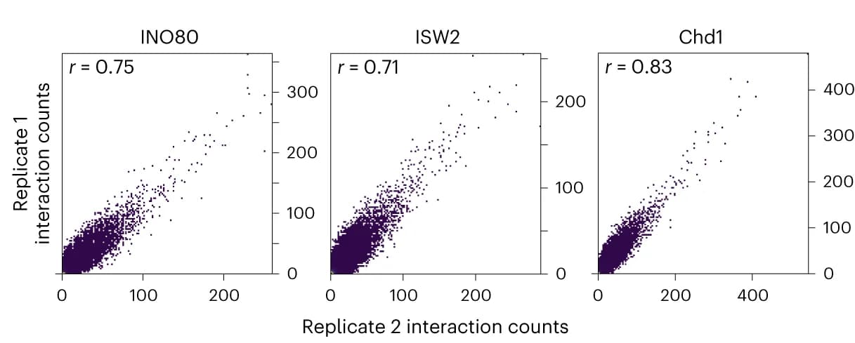 Open access visualization of Scatter Plot, Regression Plot, Correlation Plots, Interaction Frequencies, In Vitro