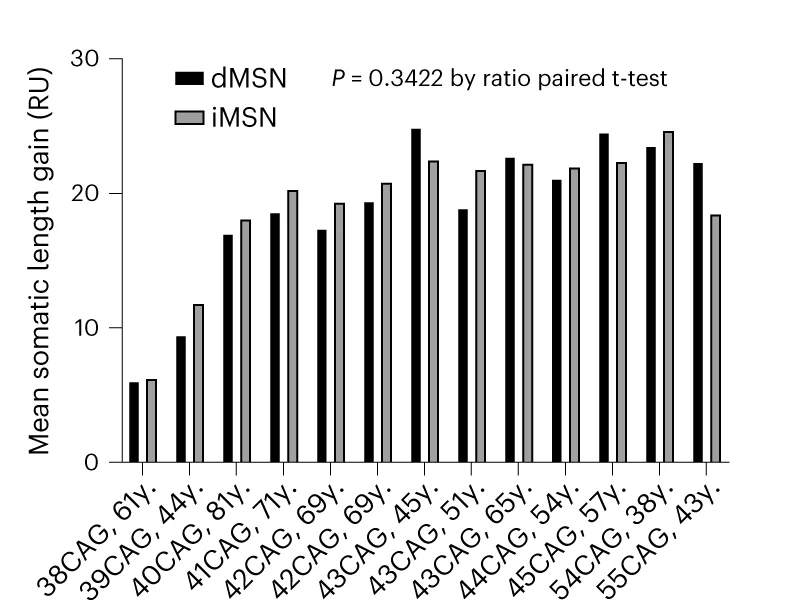Open access visualization of Clustered, Bar Plot, Somatic Length Gain, mHTT CAG Tract, Cell Types