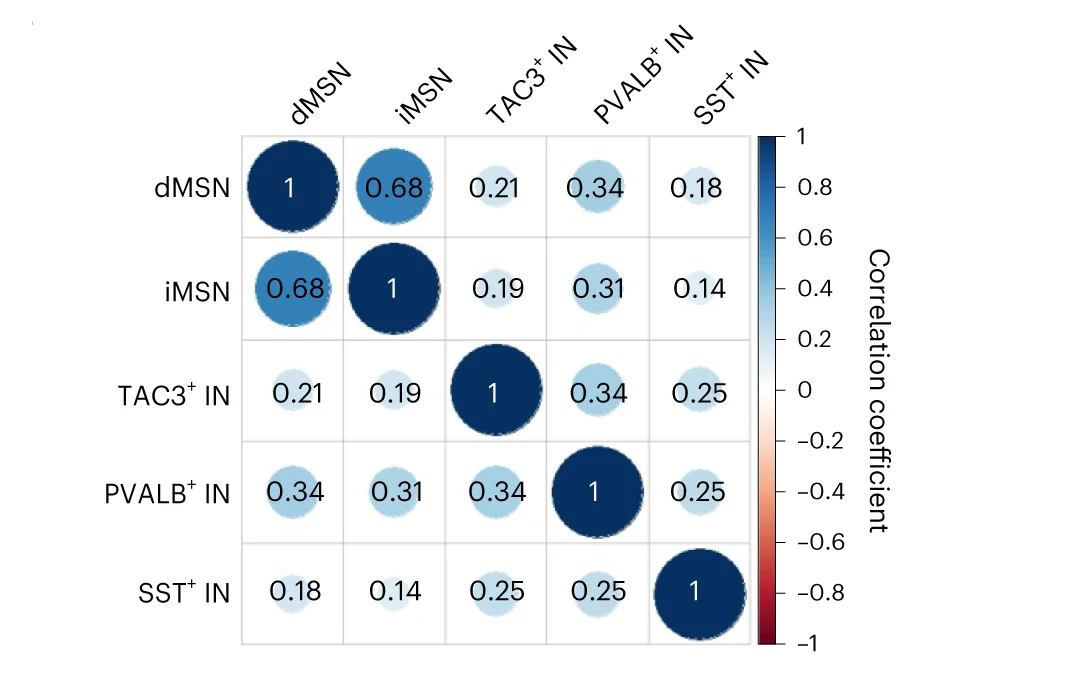 Open access visualization of Bubble Plot, Heatmap, Correlation Analysis, Disease-Associated Expression Changes, Striatal Neuronal Types