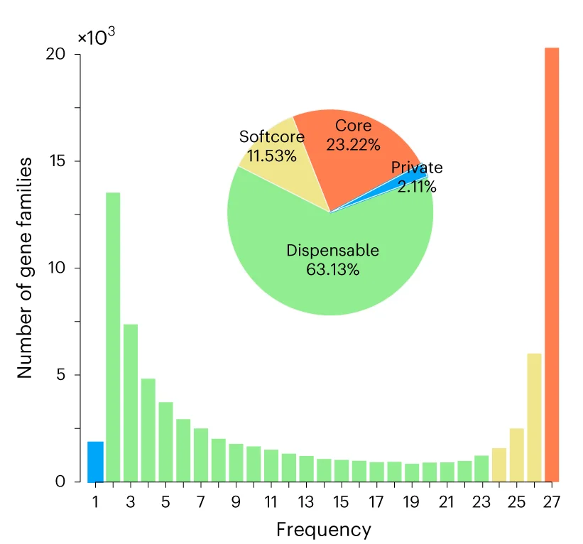 Open access visualization of Bar Plot, Pie Chart, Synteny, Pan-genome, Gene Families