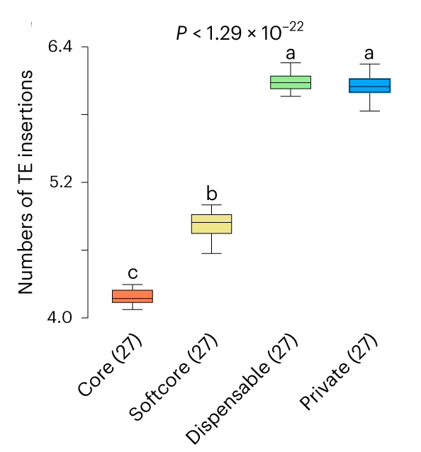 Open access visualization of Box Plot, TE Insertions, Gene Expression, Gene Families, Synteny