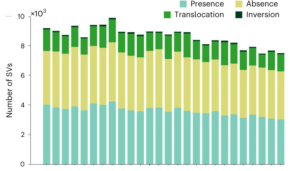 Open access visualization of Stacked Bar Plot, SVs, Nonredundant SVs, B. oleracea Genomes