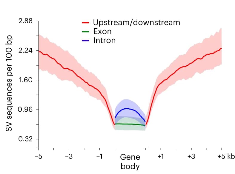 Open access visualization of Line Plot, Error Bars, SV Sequences, Gene Bodies, Flanking Regions