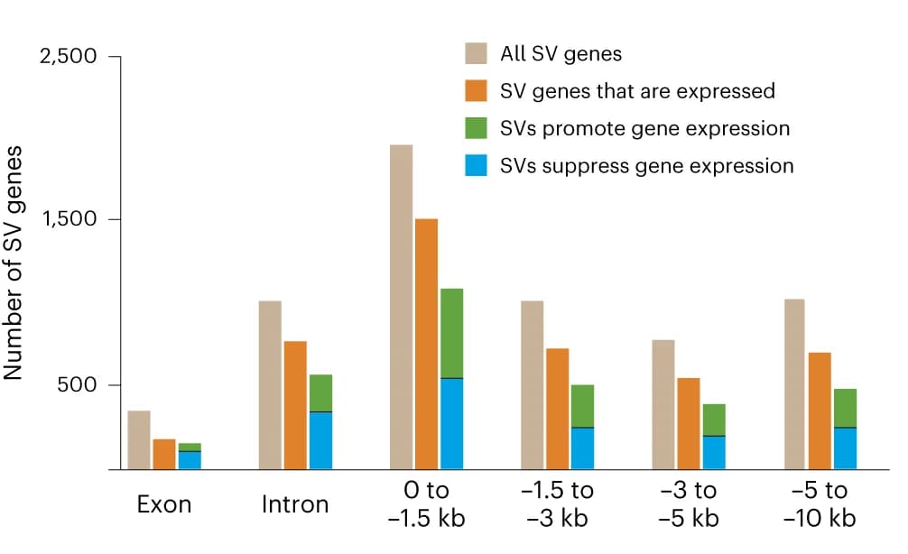 Open access visualization of Clustered, SV Genes, Gene Expression