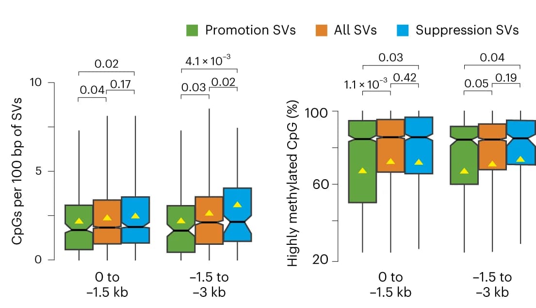 Open access visualization of Box Plot, CpG Island Density, Methylated CpG Islands, SVs