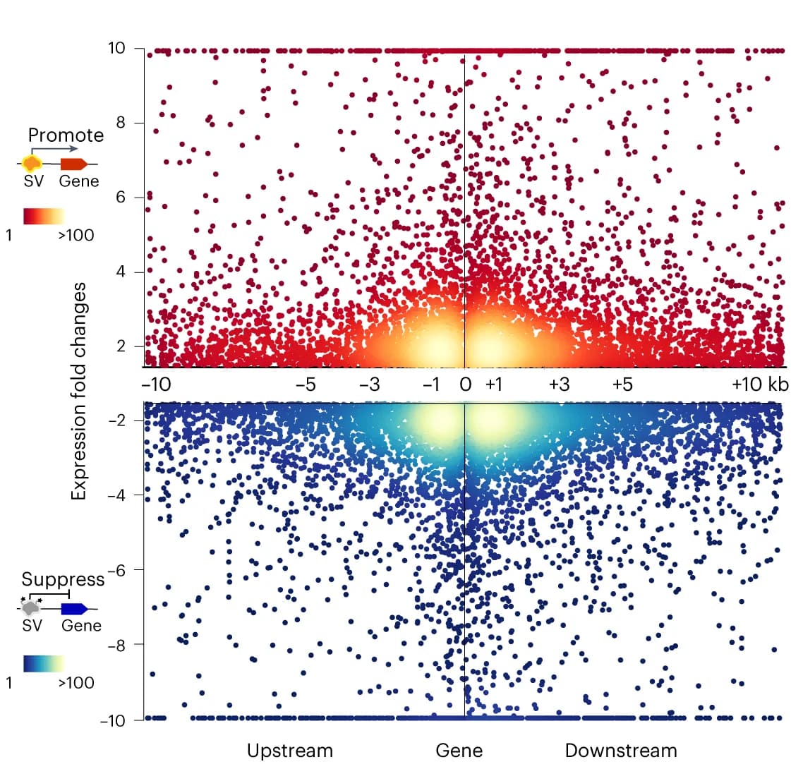 Open access visualization of Scatter Plot, Density Plot, SV Genes, Gene Expression, Genotypes