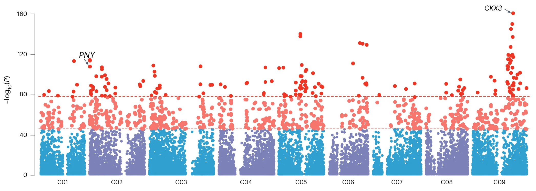 Open access visualization of Manhattan Plot, Scatter Plot, SV Signals, Cauliflower, Broccoli