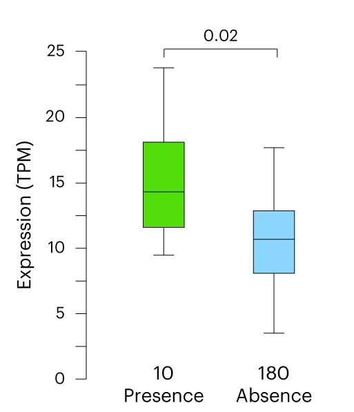 Open access visualization of Box Plot, Expression, BoMYBtf, SV, Accessions