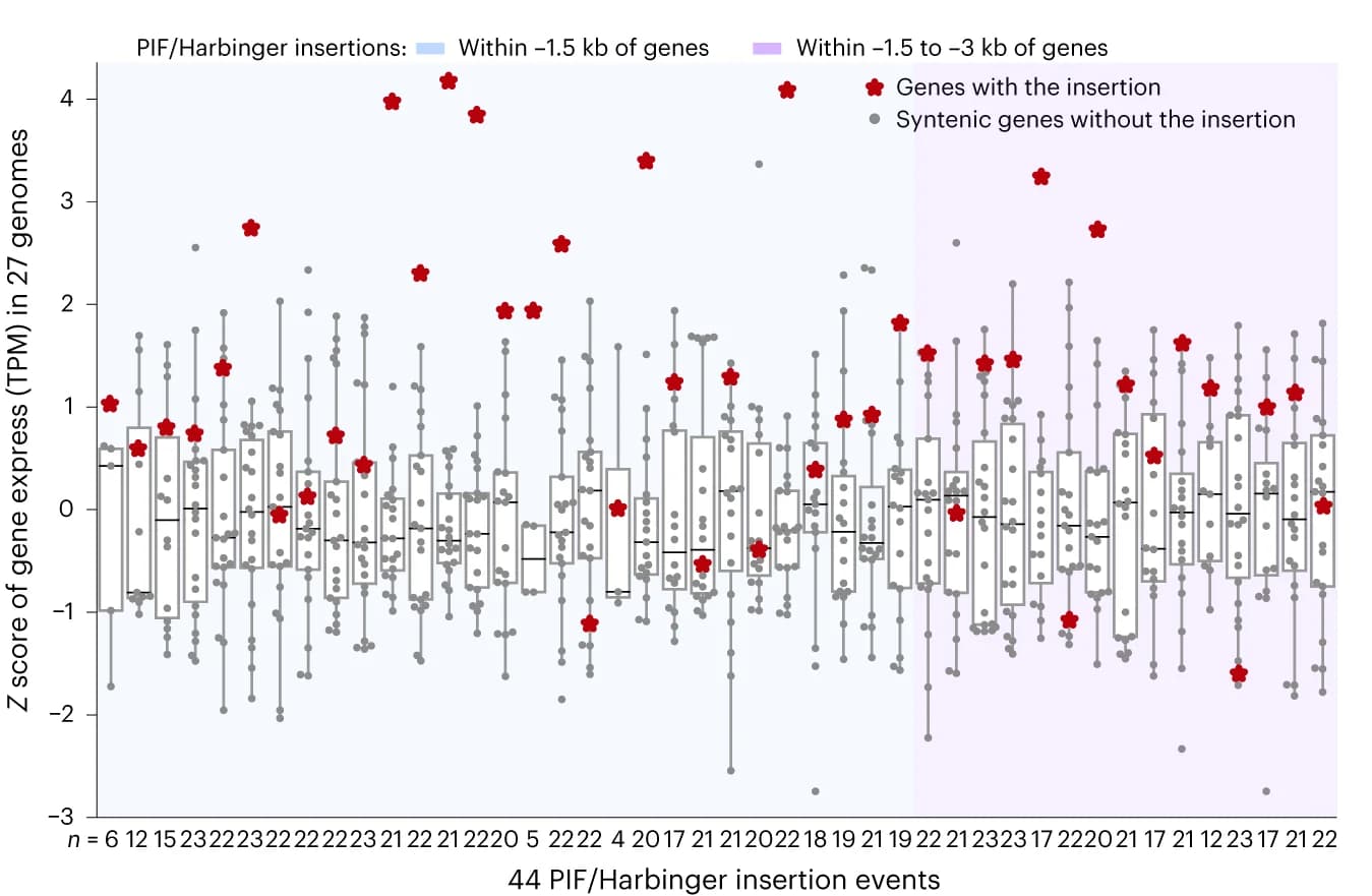 Open access visualization of Box Plot, Scatter Plot, Boxplot, Gene Expression, Syntenic Gene Families
