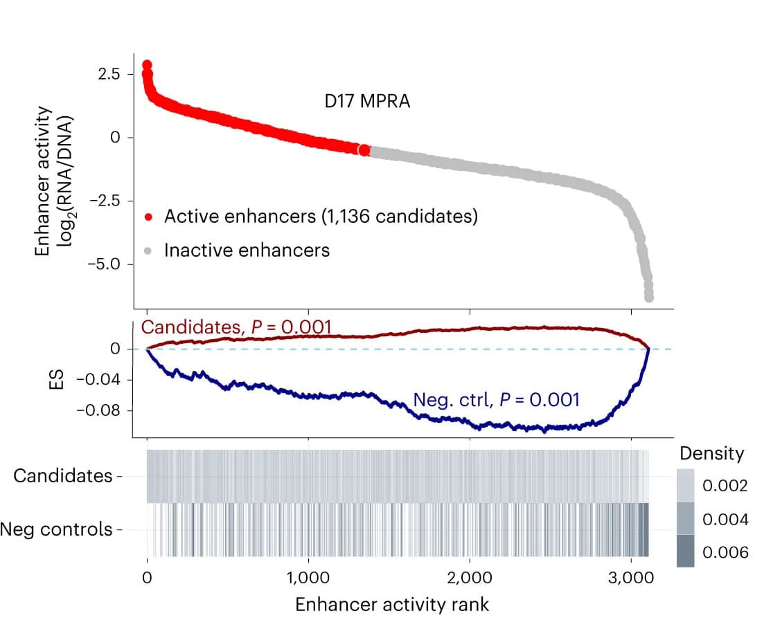 Open access visualization of Line Plot, Scatter Plot, Heatmap, LentiSTARR-seq, Enhancer Activity
