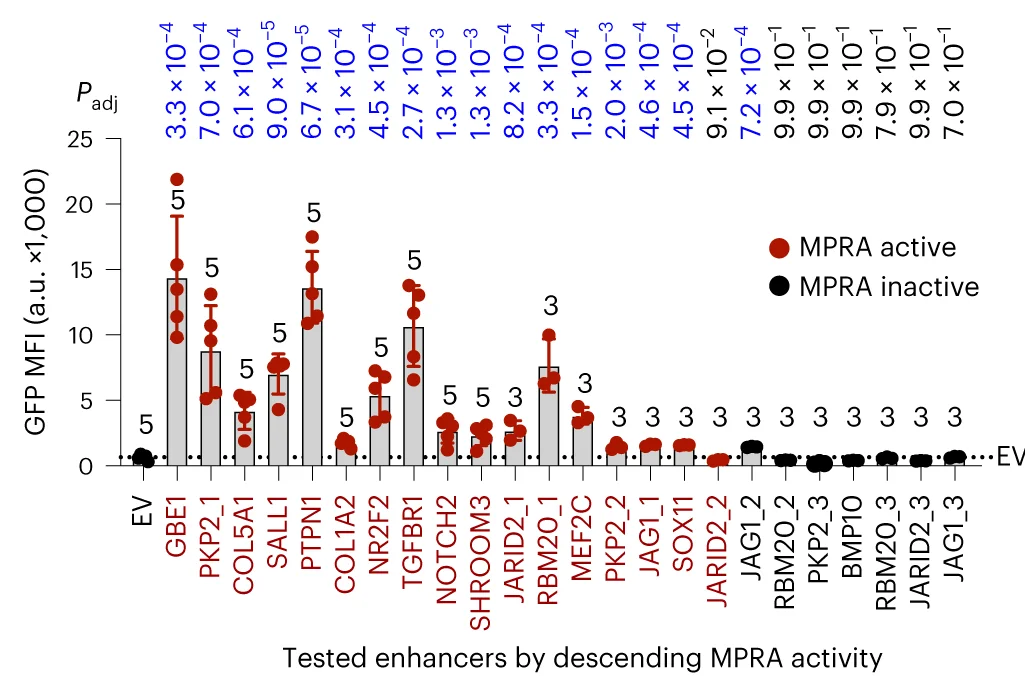 Open access visualization of Bar Plot, Error Bars, Scatter Plot, LentiSTARR-seq, Validation