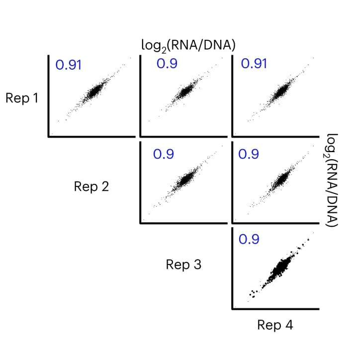 Open access visualization of Scatter Plot, Regression Plot, Mutagenesis MPRA, Replicates, iPSC-CM Culture
