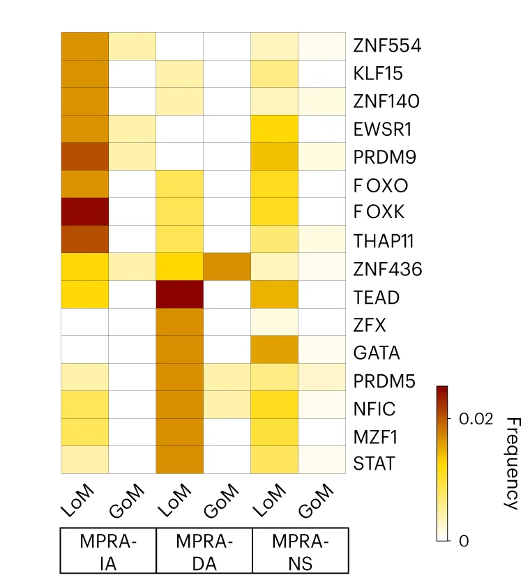 Open access visualization of Heatmap, Transcription Factor Motifs, Frequency