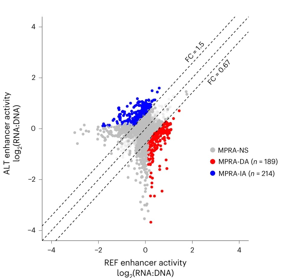Open access visualization of Scatter Plot, CHD, MPRA, ncDNV, REF-ALT pair
