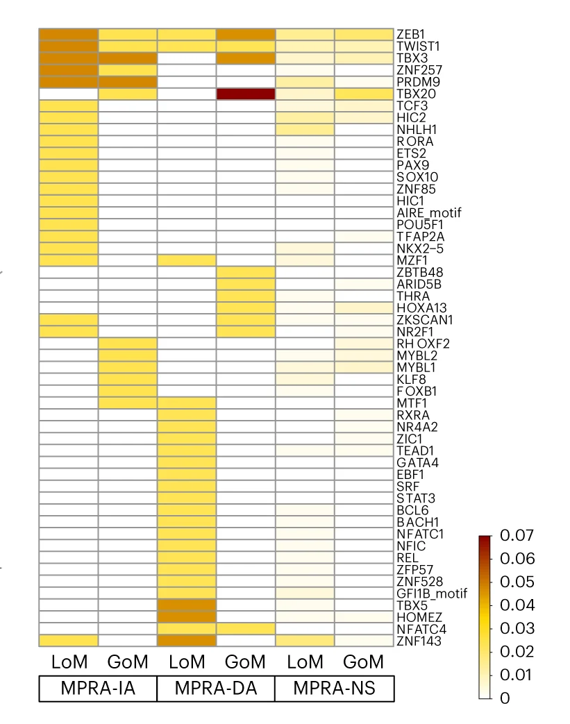 Open access visualization of Heatmap, Transcription Factor Motifs, ncDNV, Frequency