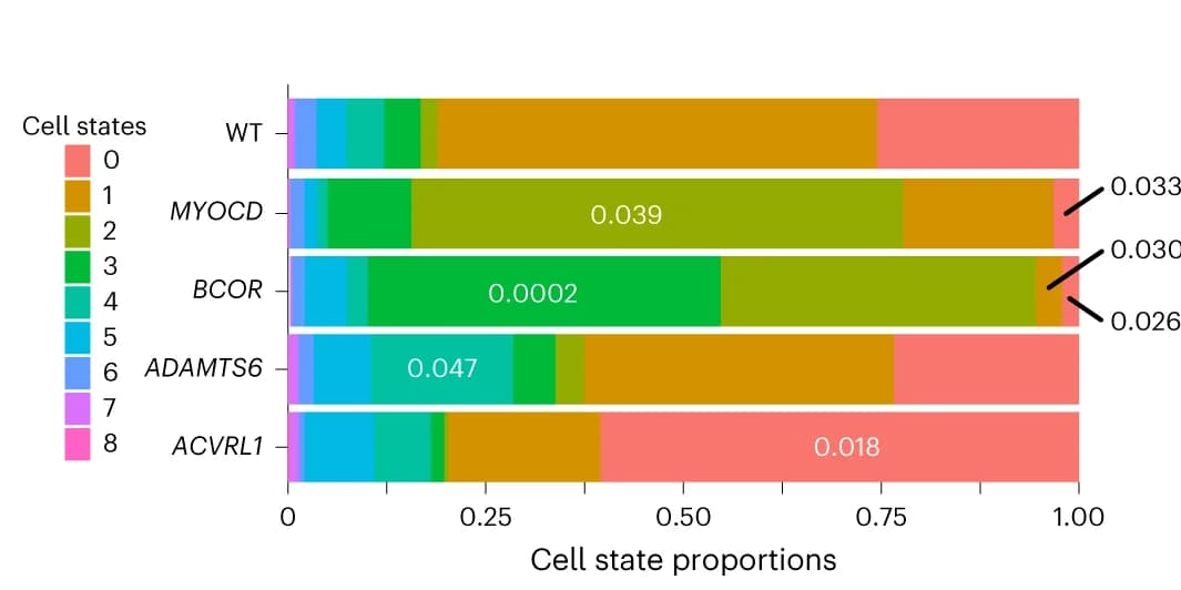 Open access visualization of Stacked Bar Plot, Stacked Bar Graph, Nuclei, Cell Clusters, Wild-Type