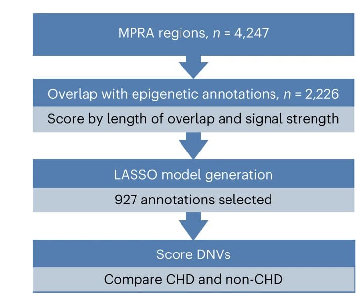 Open access visualization of Workflow, Flowchart, EpiCard Score, MPRA Regions, Epigenetic Annotations