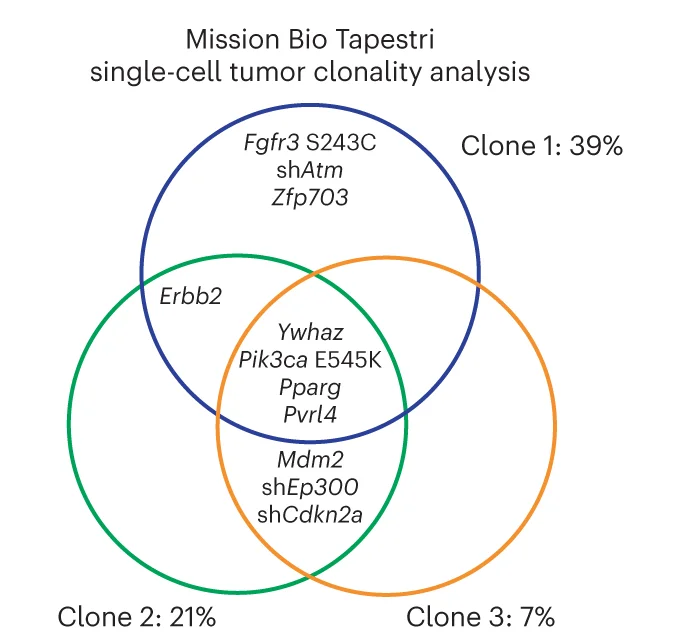 Open access visualization of Venn Diagram, Clonal Architecture, Tumor, Mission Bio Tapestri, Single Cell Analysis