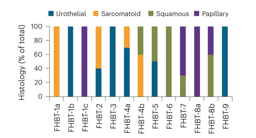Open access visualization of Stacked Bar Plot, Bar Graph, Cancer Histologies, FHBTs, mBU
