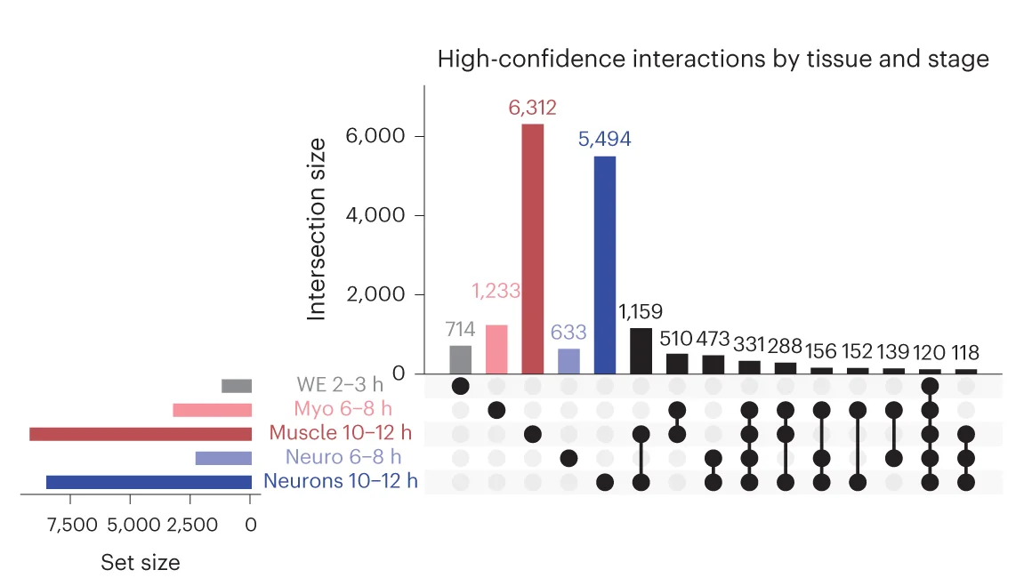 Open access visualization of Bar Plot, UpSet, UpSet Plot, High-Confidence Interactions, E-P Interactions