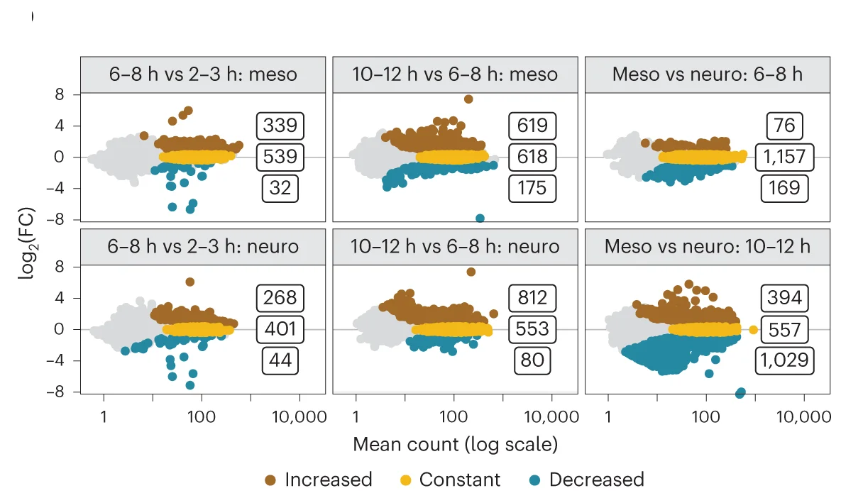 Open access visualization of Scatter Plot, Volcano Plot, Interaction Frequencies, Differential Interactions