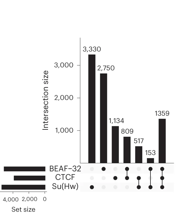 Open access visualization of Bar Plot, UpSet, UpSet Plot, Insulator ChIP-seq Peaks