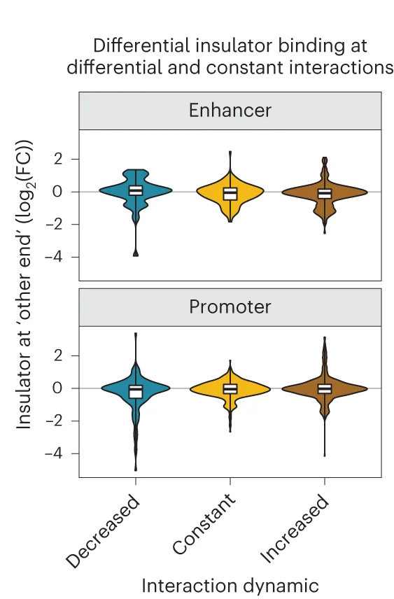 Open access visualization of Violin Plot, Box Plot, Violin Plots, Boxplots, Insulator Binding