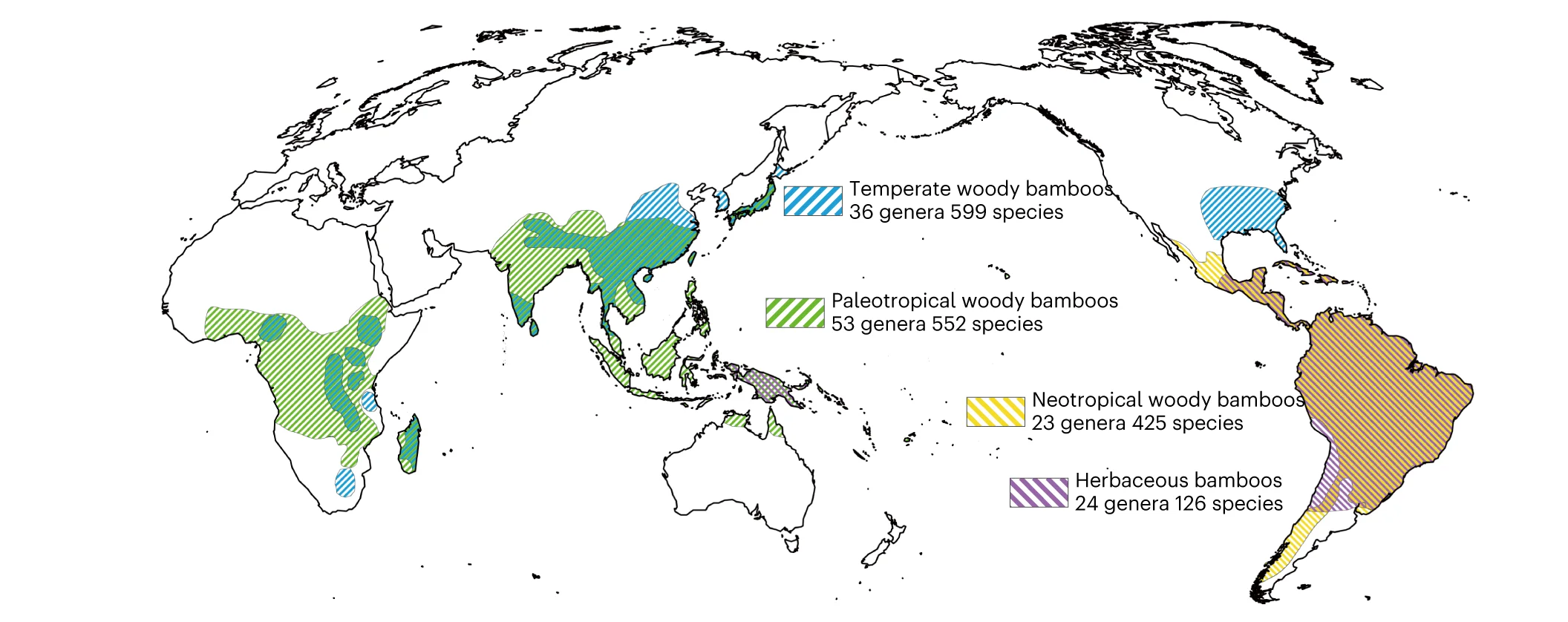 Open access visualization of Geo Map, Bamboo Clades, Global Distribution, Mapping