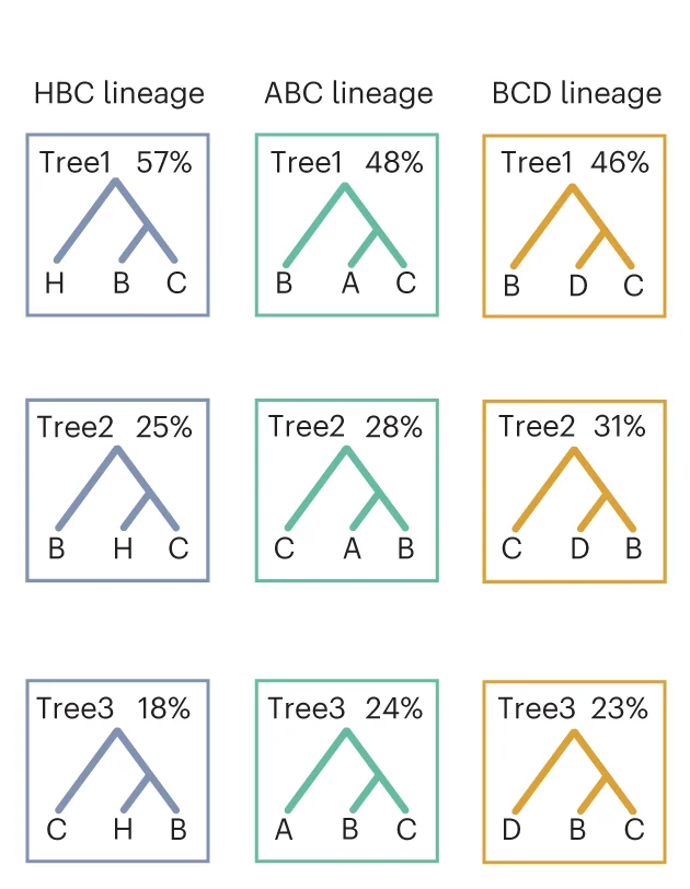 Open access visualization of Illustration, Workflow, Gene Tree Topologies