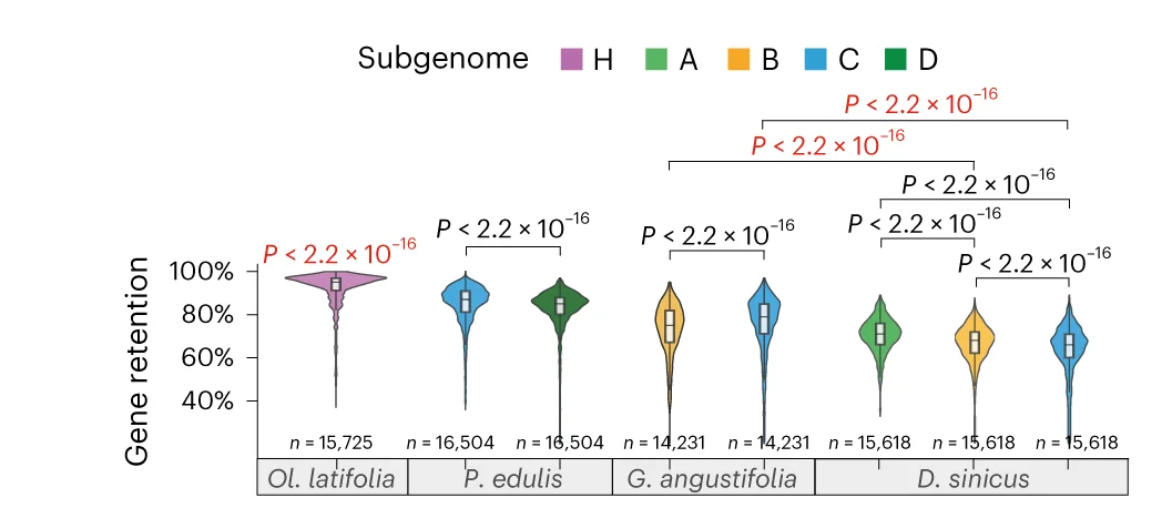 Open access visualization of Violin Plot, Box Plot, Gene Retention, Bamboo Subgenomes, Rice Genome