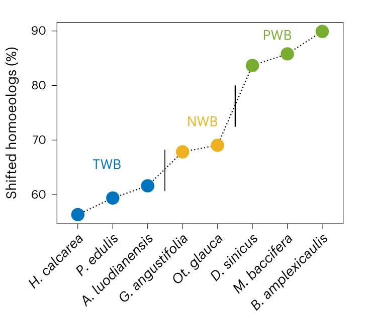 Open access visualization of Line Plot, Scatter Plot, Homoeologs, Gene Expression, Clades