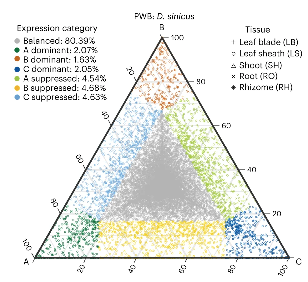 Open access visualization of Scatter Plot, Ternary Plot, Homoeologs, Expression Bias, Species
