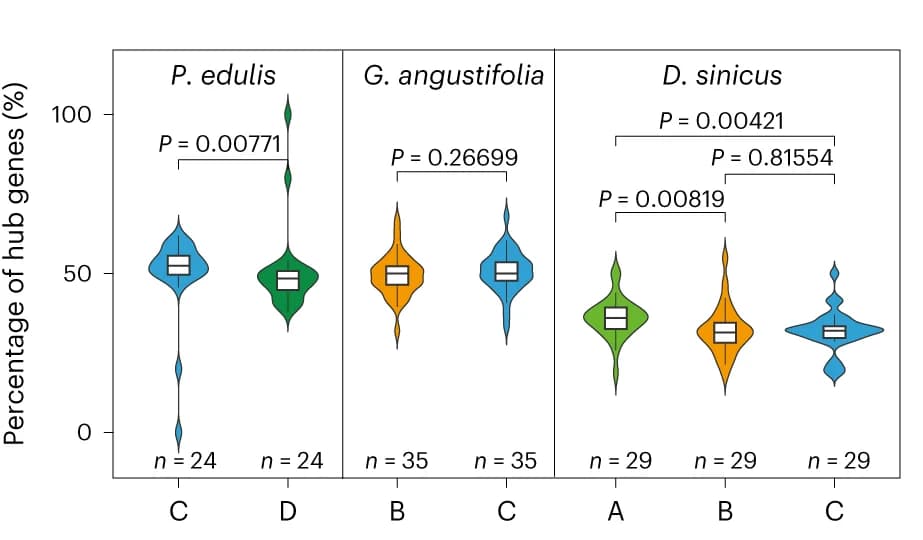 Open access visualization of Violin Plot, Box Plot, Hub Genes, WGCNA Modules, Subgenomes