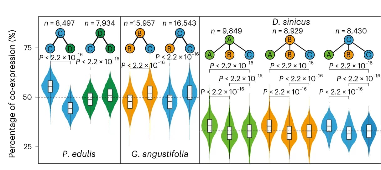Open access visualization of Violin Plot, Box Plot, Co-Expression, Intrasubgenome Genes, Intersubgenome Genes